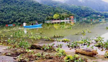 कुरुप बन्यो फेवाताल