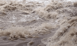 मोरङमा वर्षा र बाढीले ४१ करोडको क्षति