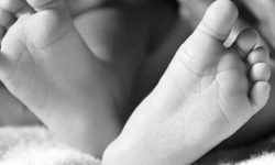 तीन दिनपछि बेपत्ता बालकको शव फेला