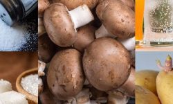 कुन पदार्थ धेरै खानु हुँदैन ?