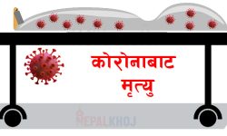 कोरोना संक्रमणका कारण थप ७ जनाको मृत्यु