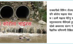 ढलमै भाइरस भेटिनु समुदायस्तरमा संक्रमण फैलिएको संकेत