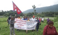 खोकनाका पीडित कृषकले रोपे धान (फाेटाेफिचर)