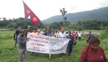 खोकनाका पीडित कृषकले रोपे धान (फाेटाेफिचर)