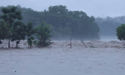 नदीमा बहाव बढ्दो : नारायणी र कोशी खतरा तह भन्दा माथि