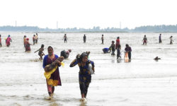 जीविकोपार्जनको लागि उर्लदो भेलमा श्रम (फोटो फिचर)