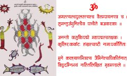 नागपञ्चमीकाे महिमा