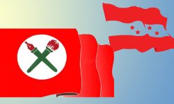 पेट्रोलियम पदार्थको मुल्यवृद्धि खारेज गर्न नेविसंघको माग