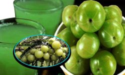 अमला सेवनका फाइदा