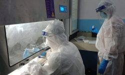 मेडिकल कलेजले पायो पिसिआर परीक्षण अनुमति