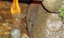 दैलेखमा पेट्रालियम पदार्थ अन्वेषण ‘फिल्ड’को काम तिहारपछि