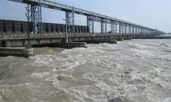 सप्तकोसीको बहाव यस वर्षकै उच्च, ३५ ढोका खोलिए (भिडियोसहित)