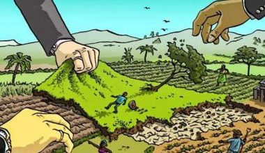 कोहलपुरमा एक अर्ब बढीको सरकारी जग्गा हिनामिना