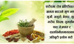 कोरोनाबाट बच्न यी जडीबुटी प्रयोग गरौँ