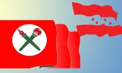 नेविसंघ : चिकित्सा शिक्षा सम्बन्धी कोर्षहरु बन्द गराएकोप्रति विरोध