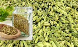 यी हुन् सौँफका ९ औषधीय गुण