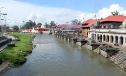 आर्यघाटमा मलामी सङ्ख्या न्यून