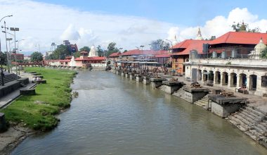 आर्यघाटमा मलामी सङ्ख्या न्यून