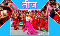 हरितालिका तीज : व्रत बस्ने शक्तिका लागि आज दर खाने तयारीमा महिला