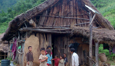 बिचल्लीमा दलित परिवार : गाँस, बास र कपासकै समस्या