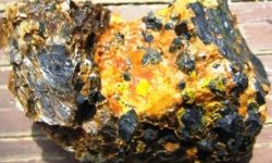 देशका विभिन्न स्थानमा भएको युरेनियम पदार्थ व्यवस्थित गर्न विज्ञको माग