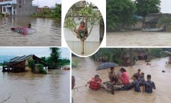 कैलालीका बाढी पीडितको विचल्ली, सडकमा बस्न बाध्य