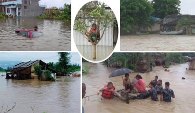 कैलालीका बाढी पीडितको विचल्ली, सडकमा बस्न बाध्य