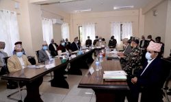 हवाई उडान तथा लामो दूरीका यातायात तत्काल नखोल्न मन्त्रिपरिषदमा सिफारिस