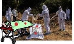 कोरोनाबाट जापानमा १० हजार जनाको ज्यान गयाे