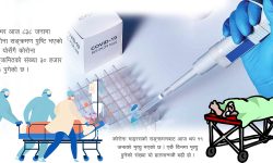 शुक्रबार ८ सय ३८ सहित कोरोना सङ्क्रमित ३० हजार नाघे, एकैदिन ११ को मृत्यु, परीक्षणमा ३ अर्ब १९ करोड खर्च