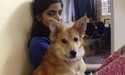 युवतीले कुकुर छाड्न नमानेपछि विवाह रद्द