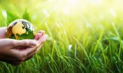 नेपालमा वायु प्रदूषण घट्यो