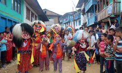 भाद्रकृष्ण प्रतिपदा : गाईजात्रा पर्व मनाइँदै