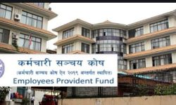 सञ्चयकोषको सापटीको ब्याज ‘कनेक्ट आइपिएस’मार्फत जम्मा गर्न सकिने