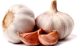 अंकुरित लसुनका अनगिन्ती फाइदा