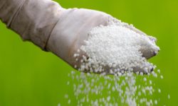 मल वितरण प्रणालीमा पारदर्शिता नभएको आरोप