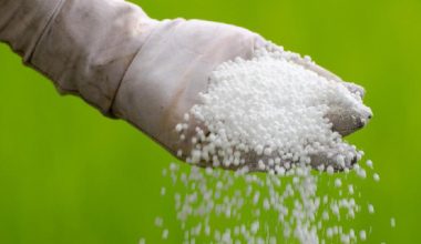 बिहीबारदेखि किसानले मल पाउने