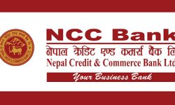 एनसीसी बैंकको नाफा वृद्धि