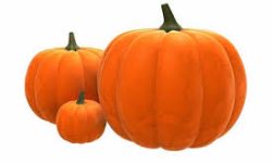 फर्सी खानु शरीरका लागि फाइदै फाइदा