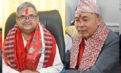 राष्ट्रियसभाका चारै समितिका सभापति निर्विरोध निर्वाचित