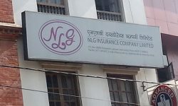 एनएलजी इन्स्योरेन्स : प्रतिशेयर आम्दानीमा सन्तुलन कायम हुन सकेन