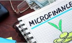 गत आवको नाफाबाट एक दर्जन संस्थाको लाभांश घोषणा