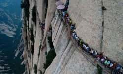 विश्वको खतरनाक बाटो !