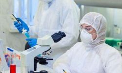 अब २४ सय रुपैयाँमा पीसीआर परीक्षण