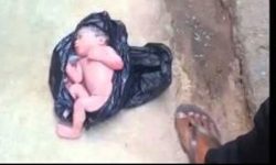 वीरेन्द्रनगरकाे खोलामा नवजात शिशुको शव