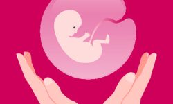 छैटौँ सुरक्षित गर्भपतन सेवा दिवस शनिबार मनाइँदै