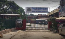 धितोपत्र बोर्डद्धारा जोखिममा आधारित सुपरिवेक्षण म्यानुअल, २०७७ लागू