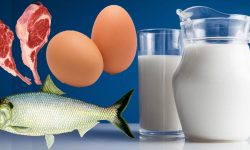 तनहुँमा दूध, मासु र अण्डा मागभन्दा उत्पादन बढी