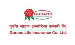 गुराँस लाइफ इन्स्योरेन्सको हकप्रद शेयर भोलिबाट बिक्री, २ लाख ५२ हजार ४४९ सर्वसाधारण कित्ता