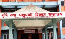 उखु किसानले पाउने भए भुक्तानी